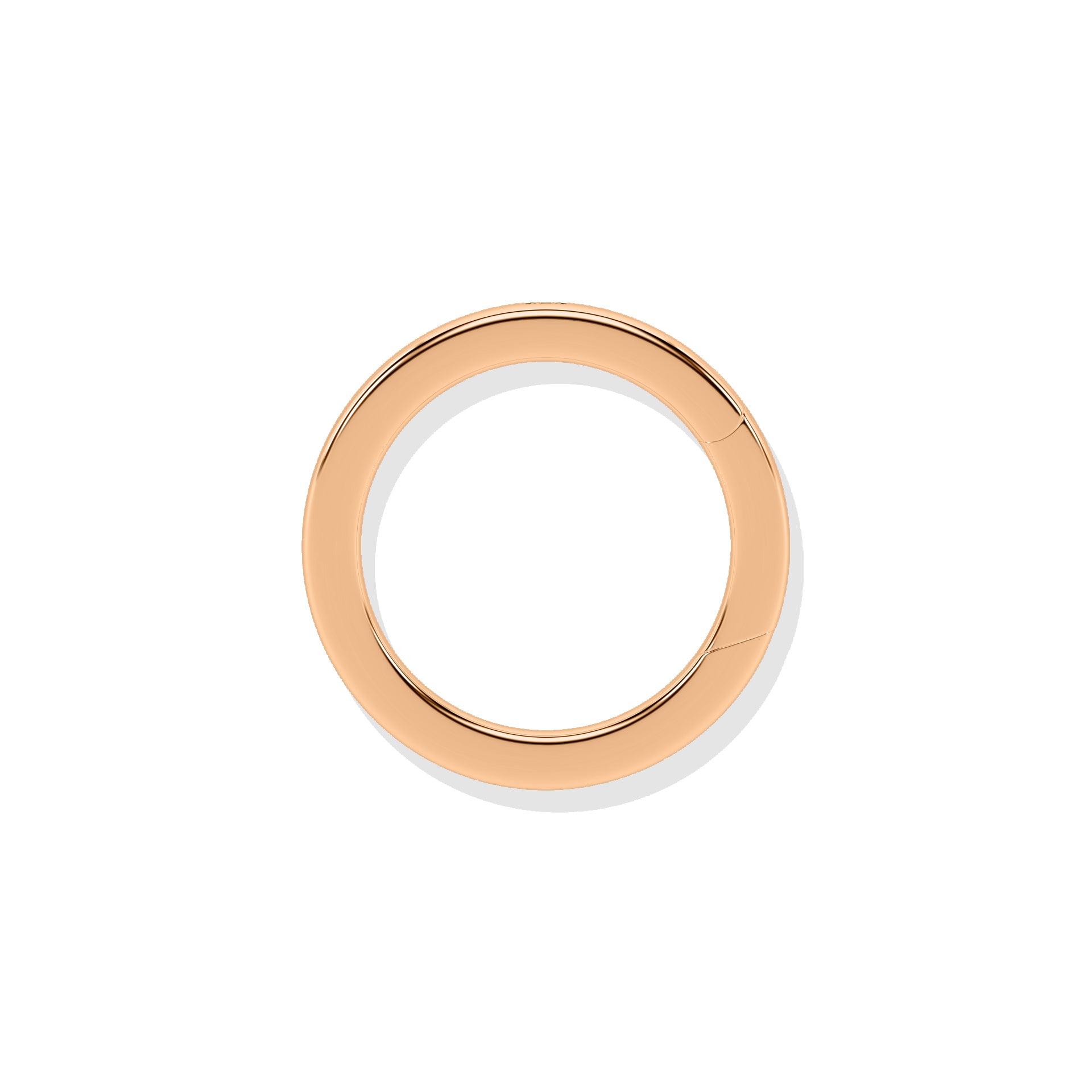 Loop Lock