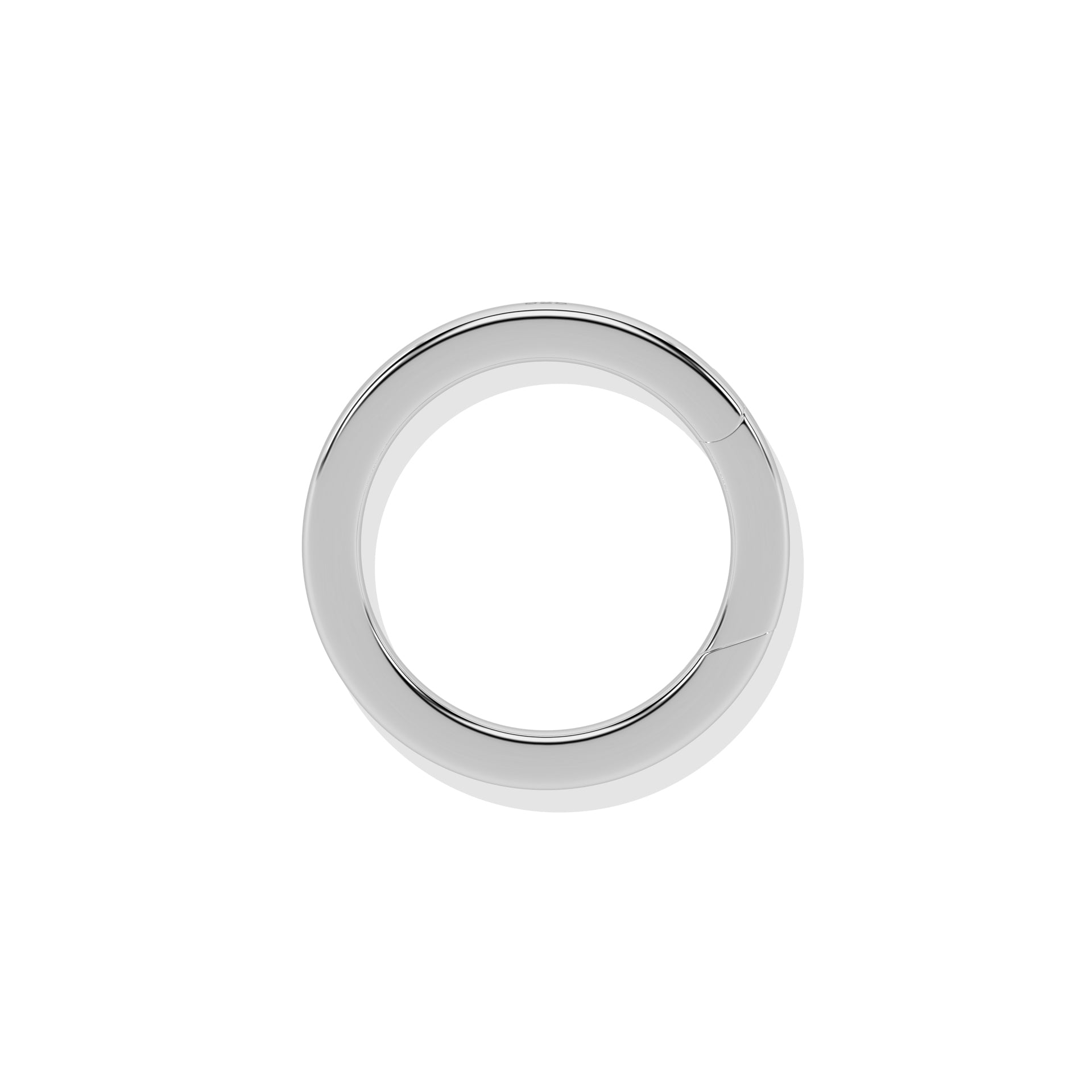 Loop Lock
