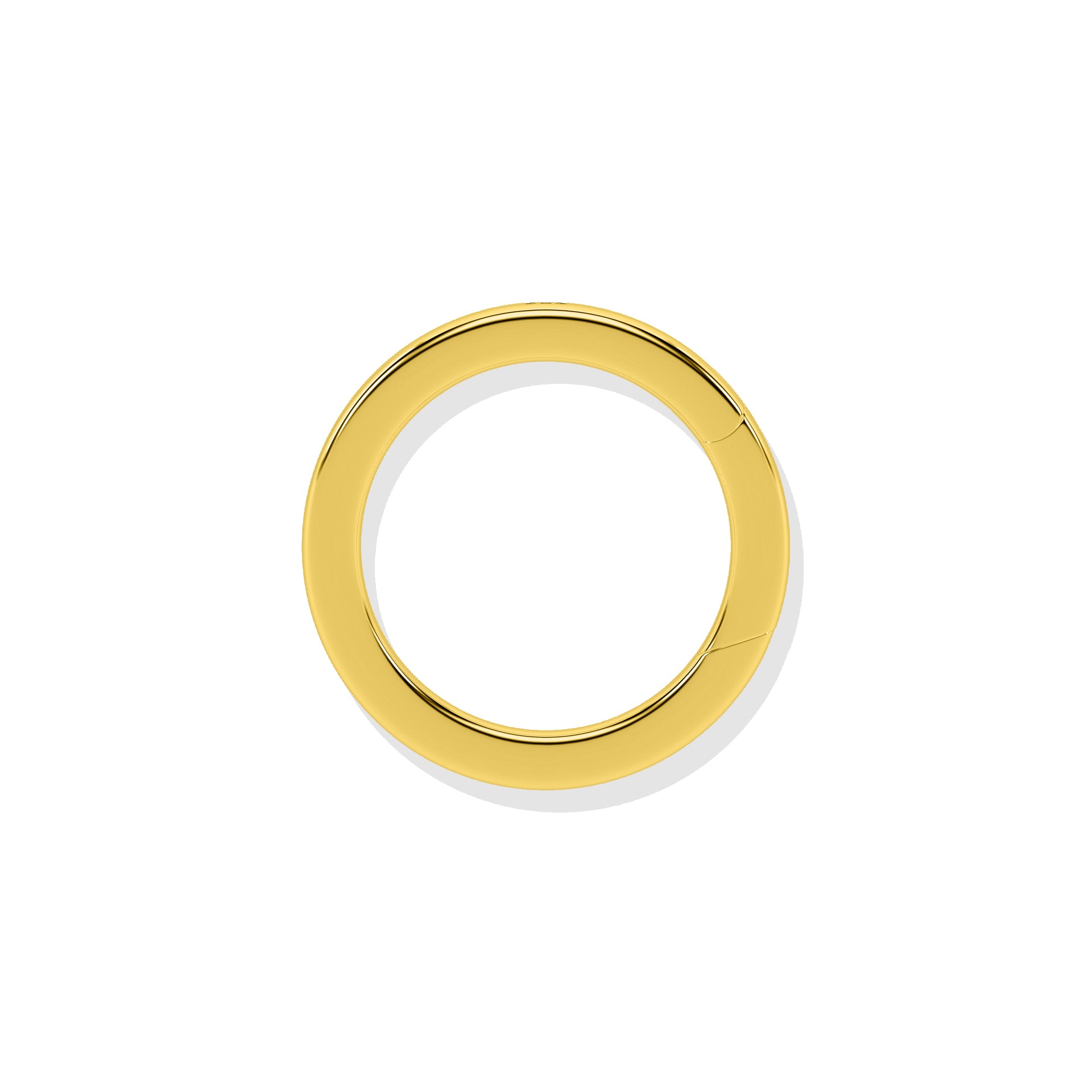Loop Lock