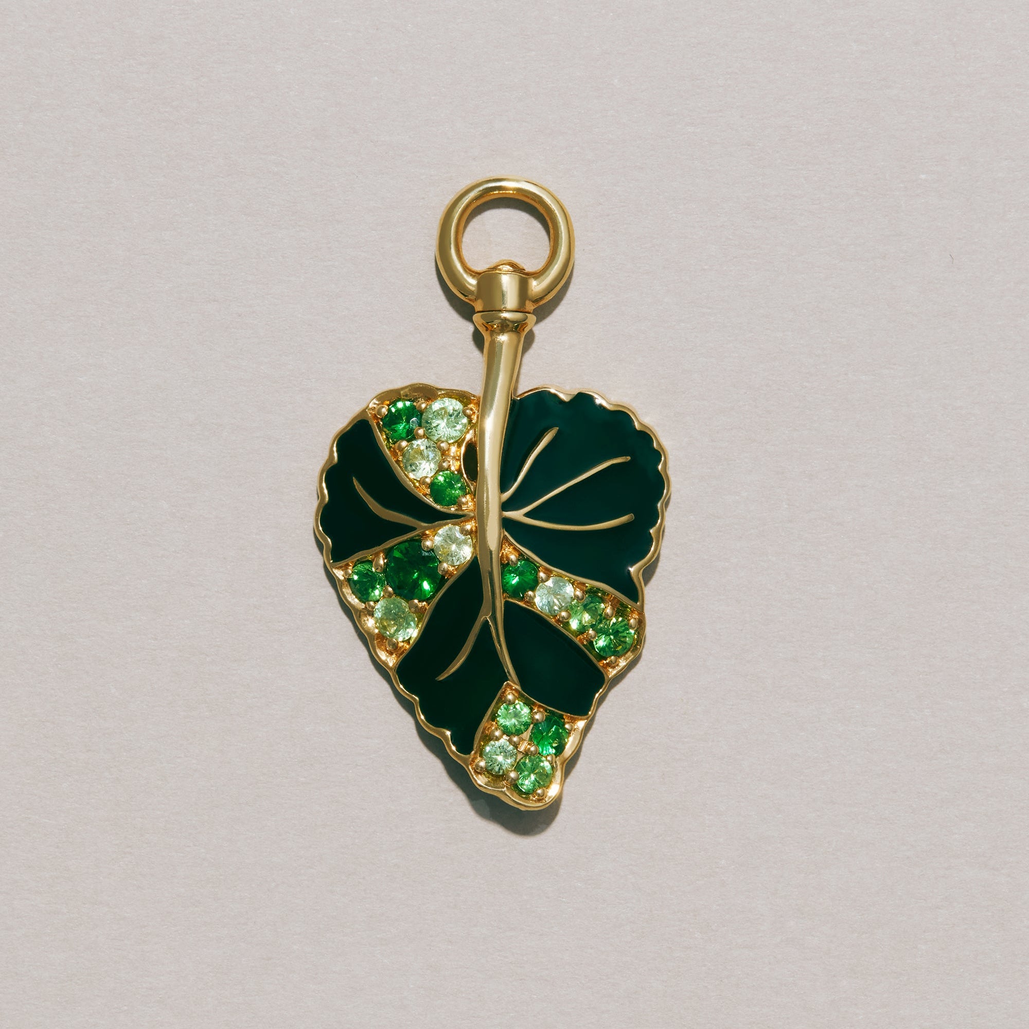 The African Violet Charm