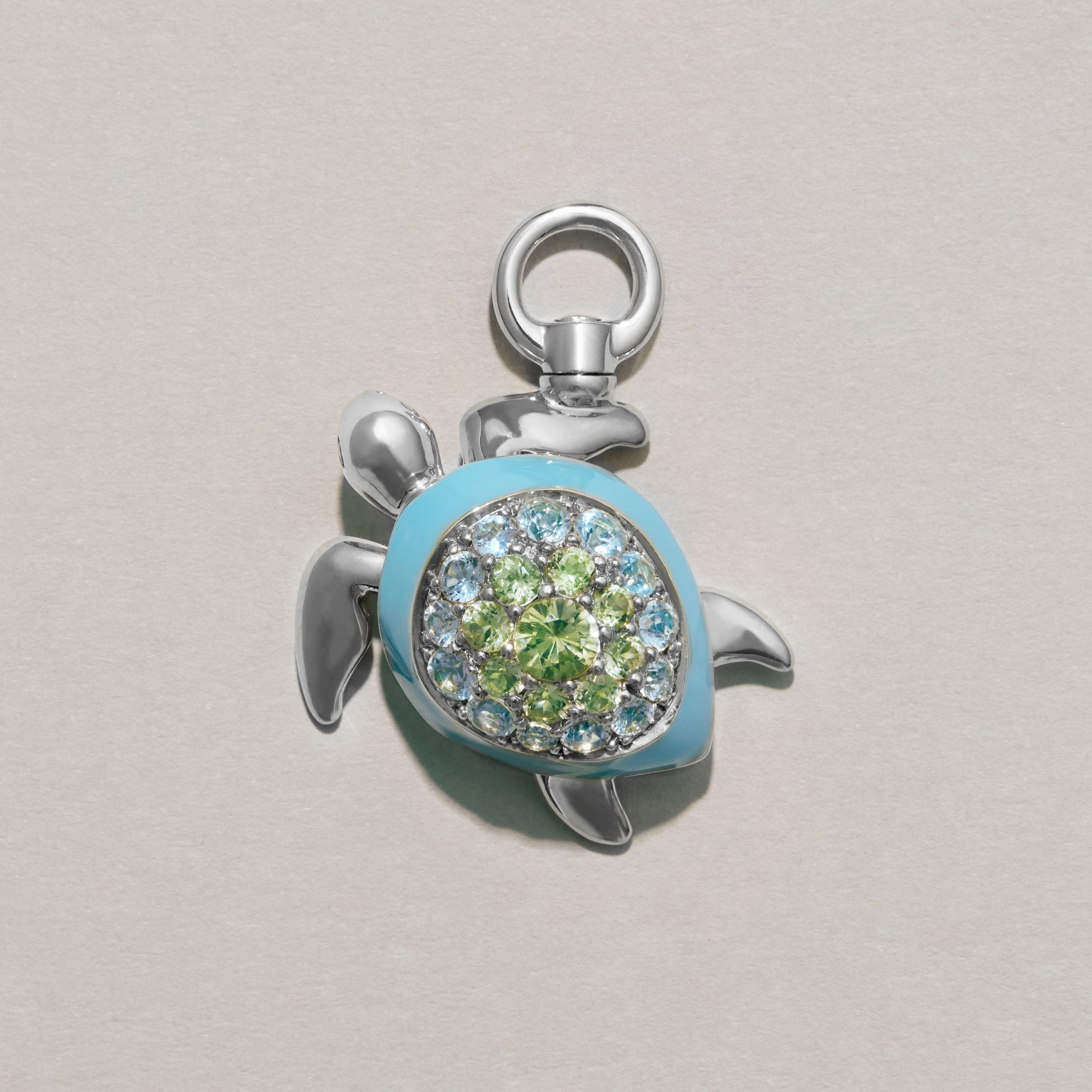 The Gentle Turtle Charm