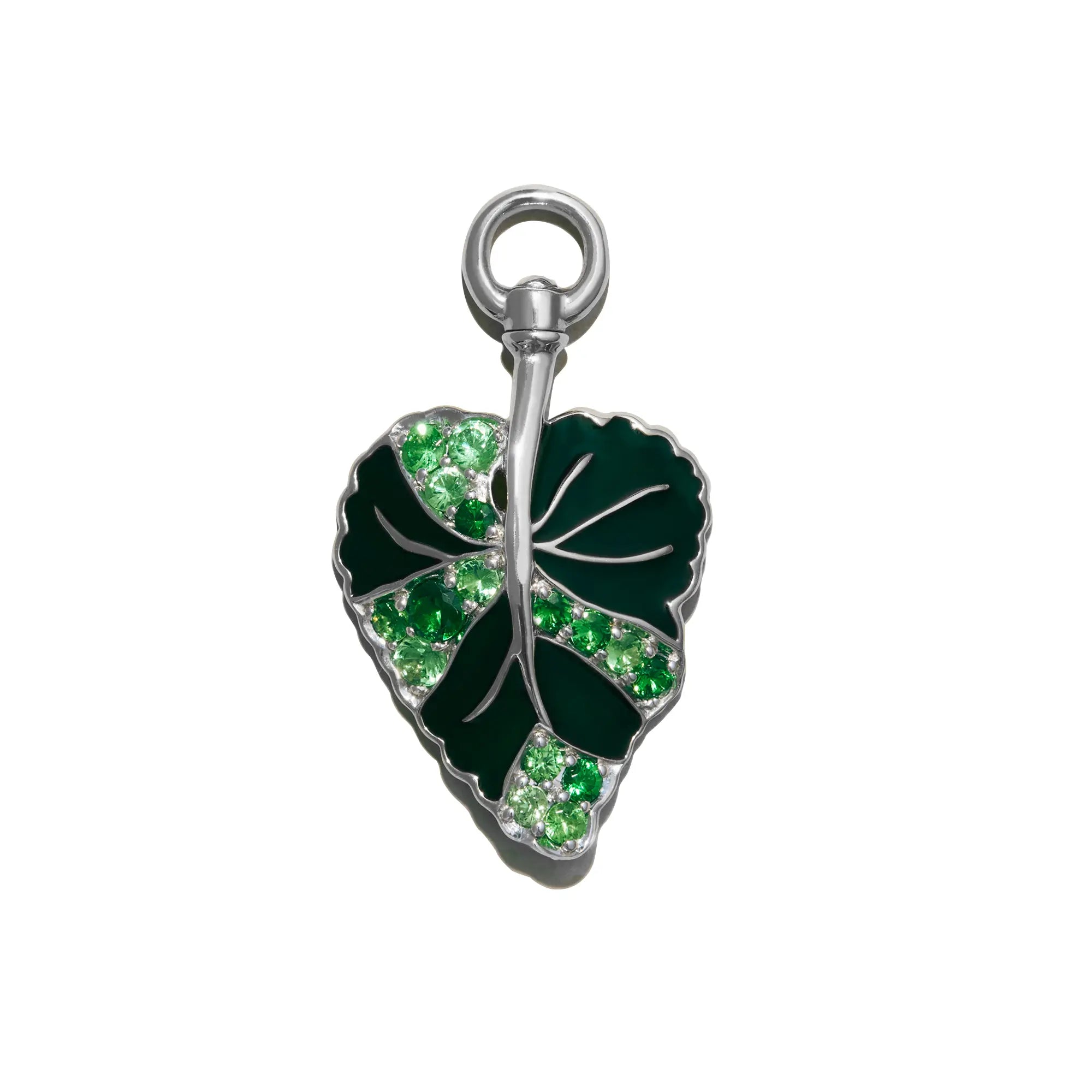 African Violet Charm