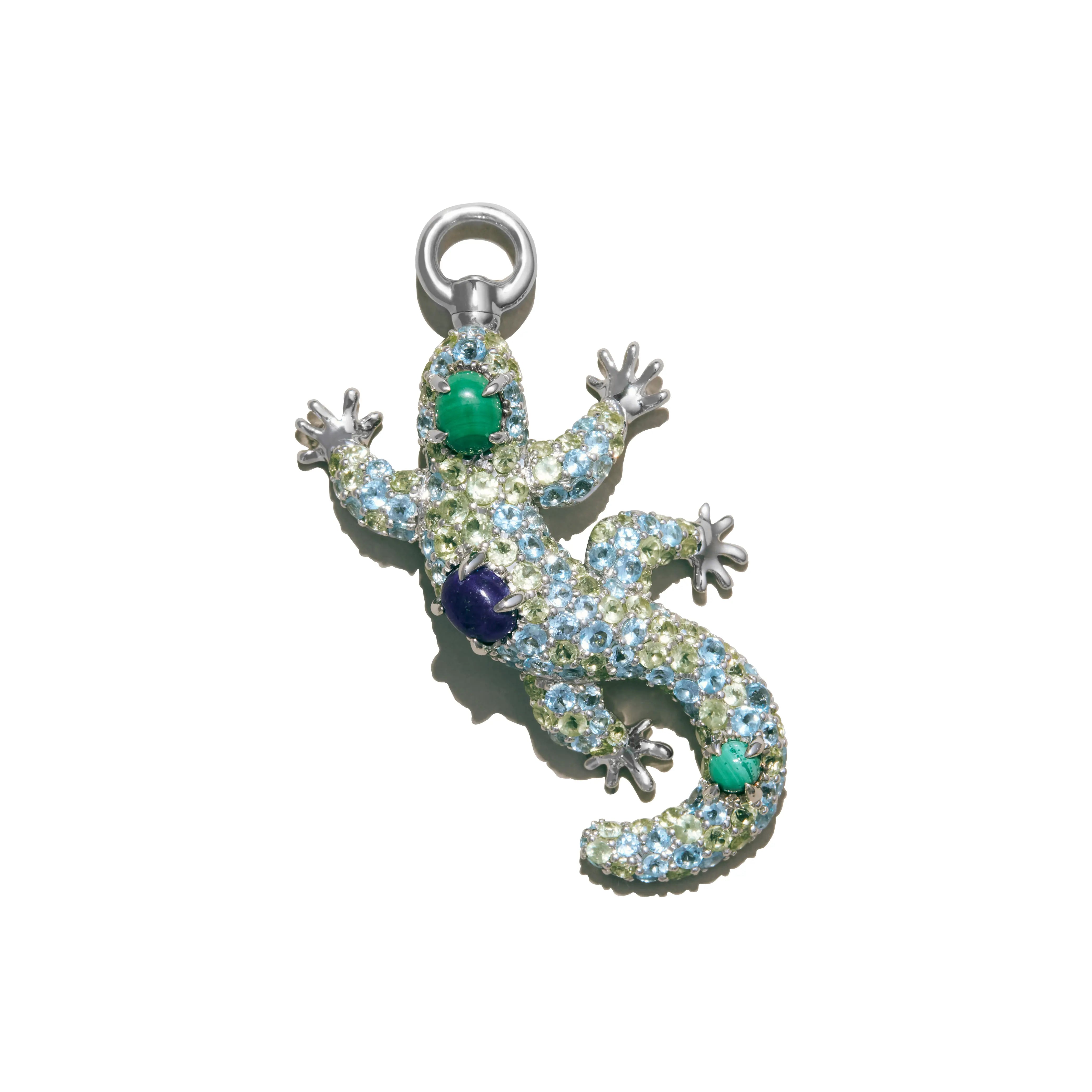 Echo Gecko Charm