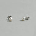 Pearl Studs