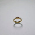Quartz Enamel Loop Lock