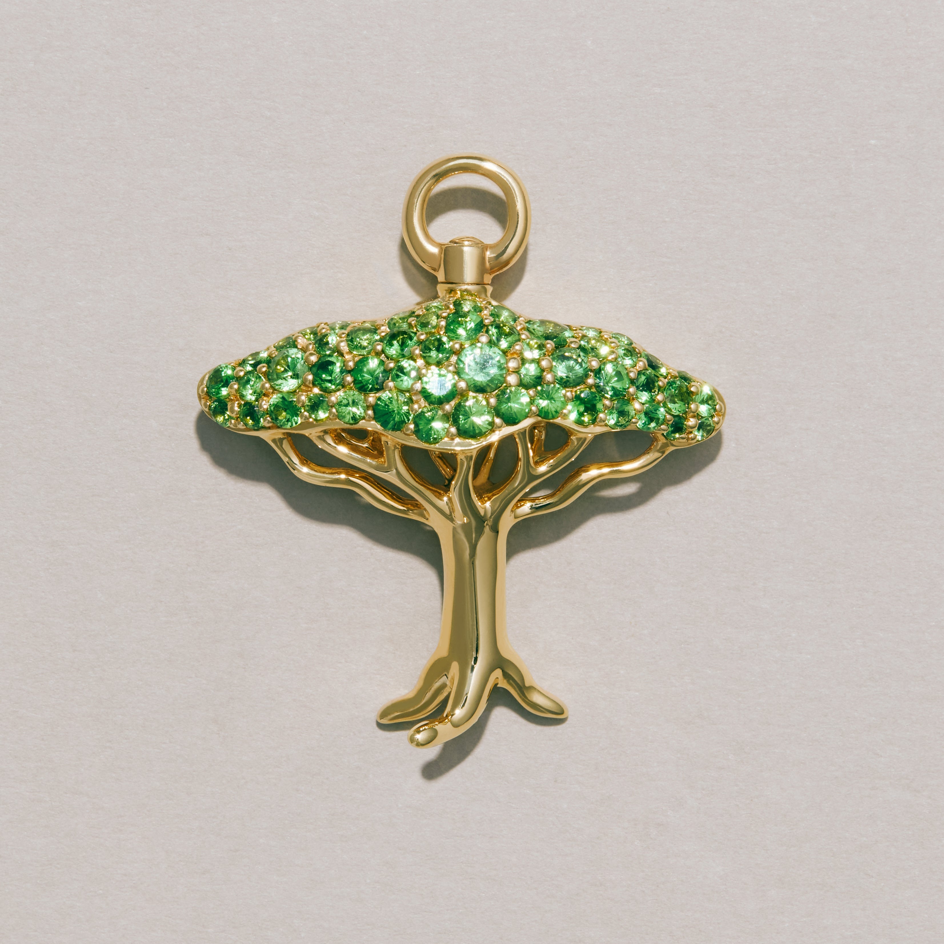 The Dragon Blood Charm