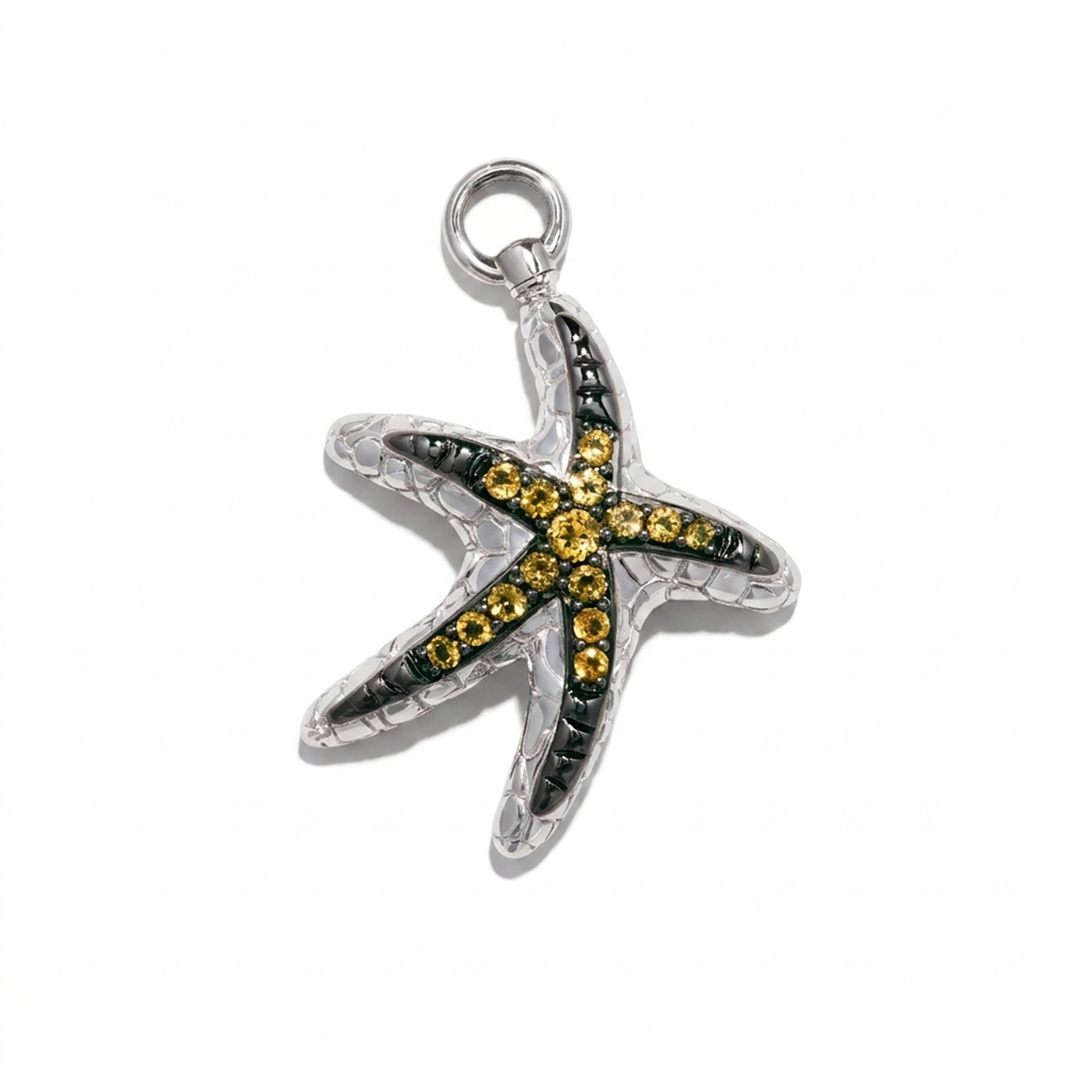 The Sea Star Charm