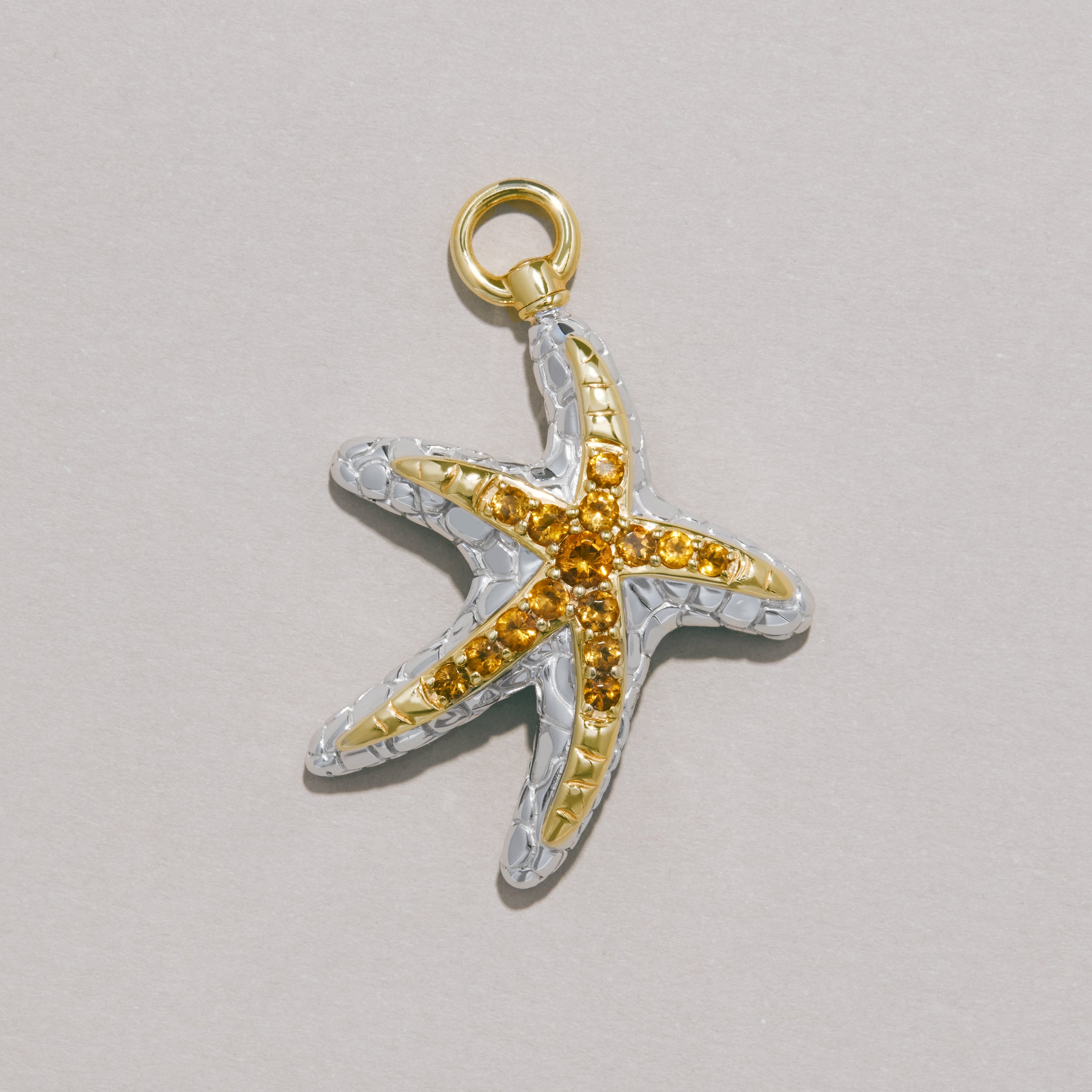 The Sea Star Charm